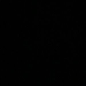 Meet your Posher, Joey